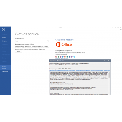 Купить Office 2013 Professional Plus-1