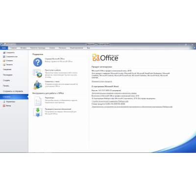 Office 2010 Professional Plus-1