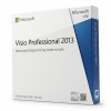 Visio Professional 2013