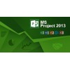 Project Professional 2013