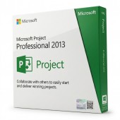 Proyecto Profesional 2013