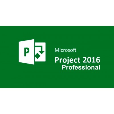 Купить Project Professional 2016-1
