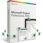 Project Professional 2019