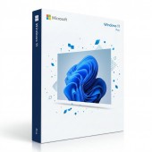 Windows 11 Professional