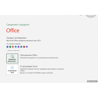 Office 2021 Professional Plus-1
