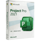 Project Professional 2021