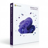 Windows 11 Pro for WorkStations
