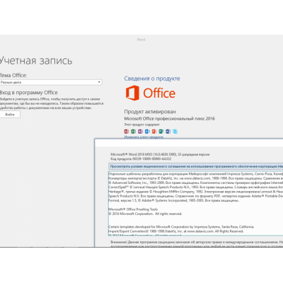 Купить Office 2016 Professional Plus (С привязкой к аккаунту)-2