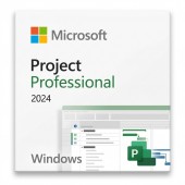 Project Professional 2024