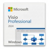Visio Professional 2024