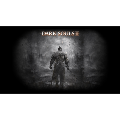 Dark Souls 2 (PS4/RUS) П3-Активация