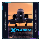 X-Plane 12 | Steam Gift ПК | АВТОДОСТАВКА